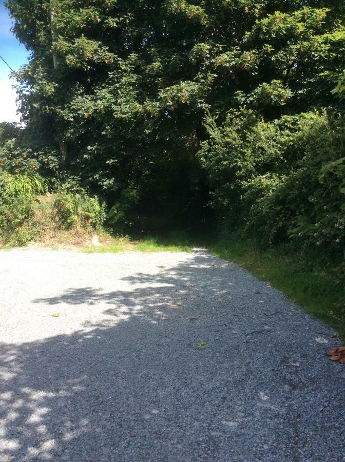 Killarney Saoirse Cottage Esterno foto