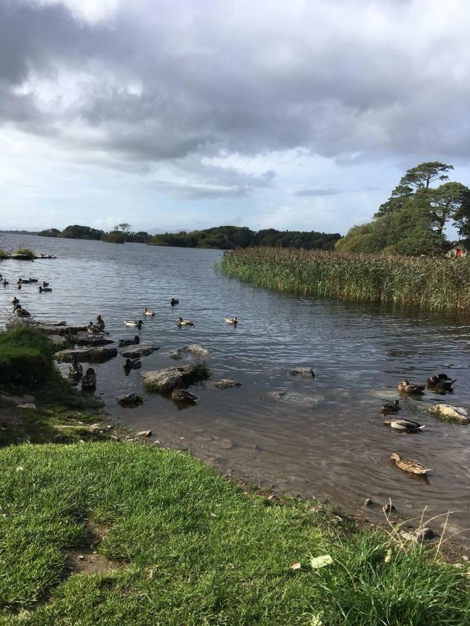 Killarney Saoirse Cottage Esterno foto