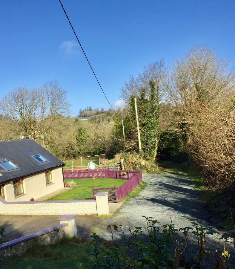Killarney Saoirse Cottage Esterno foto
